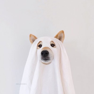 ผีน้อยฝากข้อความ👻