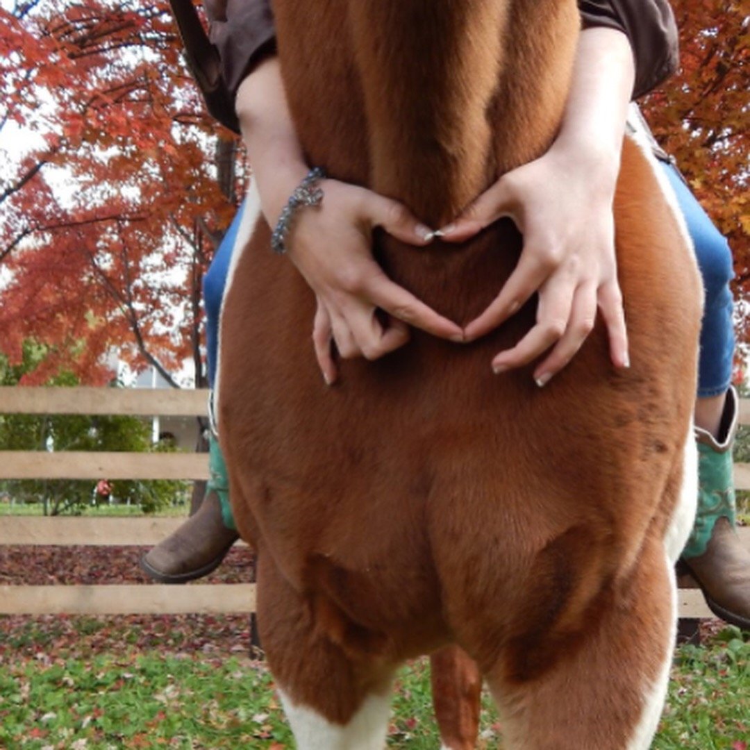 madisonluvsband's profile picture. 