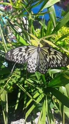 InesClarissa's profile picture. Love yourself ❤️