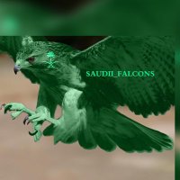 الصقور الرقمية السعوديه (@saudii_falcons) 's Twitter Profile