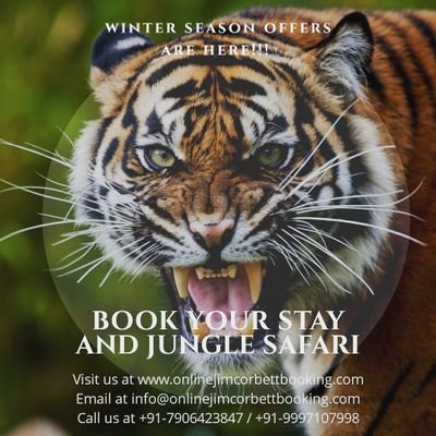 We provide safari and tour booking in Jim Corbett. Book your tour or safari and experience the scenic and wildlife beauty of Uttrakhand!