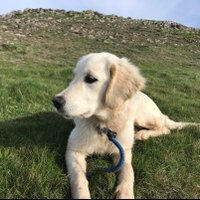 Jo Kileff (@jkileff) 's Twitter Profile