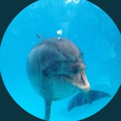 erijhon2's profile picture. 【CRYSTAL SOUND CAFE 🎙️🎸12/7千ちゃん生誕祭】【Cecilia REI 🎸12/5JUSO CLOCK HANDS】【REIWORKS 👀https://t.co/CFmz94LlsH】 Hobby: iPhoneで写真撮影