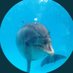 まりん✨🐬✨ (@erijhon2) Twitter profile photo まりん✨🐬✨ (@erijhon2) Twitter profile photo