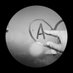 X (@a2018md) Twitter profile photo X (@a2018md) Twitter profile photo