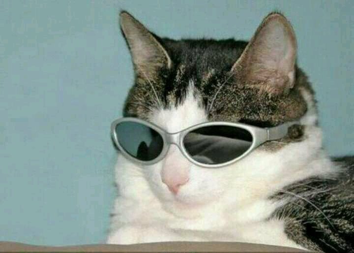 ☆ Eu já fui mais legal, hoje sou
isso daí ☆
Autora no perfil @SentidoIdeal