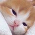 🥰 (@j__0214) Twitter profile photo 🥰 (@j__0214) Twitter profile photo