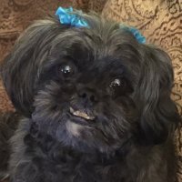 BETTY LYNN CROWELL - @bebecrowell Twitter Profile Photo