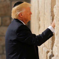 doolittle22's profile picture. Mom, Wife, Animal lover, #Trump, #Israel, and #2A supporter! Gd Bless our military and Gd bless the USA! 🇺🇸🇺🇸🇺🇸🚂🚃🚃🚃💨 #MAGA #Parler #RollFreakinTide