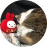 GURULI_RD's profile picture. raindrop( @raindrop_info )のお巫山戯担当。相方つゆこが育児頑張ってる活動低速中なので動き少なめ。天気痛に勝てない。愛猫と死別で凹むも旦那と共に保護猫出身の新猫と生活。配信ライブが救い。