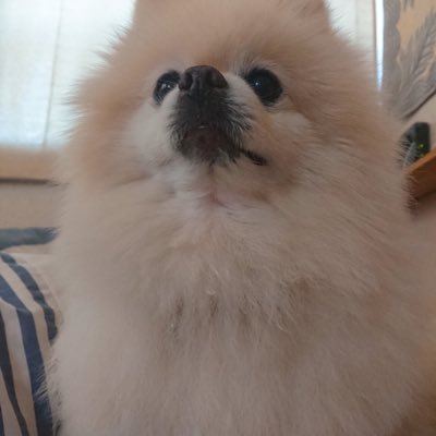 ギガちゃん Ndximja3awdya5b Twitter