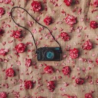 نُــــووون🕊 (@am6an3) 's Twitter Profile Photo