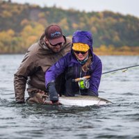 K8Crump (@k8crump) 's Twitter Profile