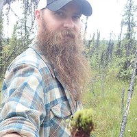 Will Cox (@sphagnum_p_eye) 's Twitter Profile