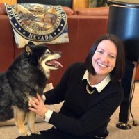 Jen Joslin (@jen_joslin_) 's Twitter Profile