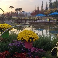 샘이깊은물 (@gkk0502) 's Twitter Profile