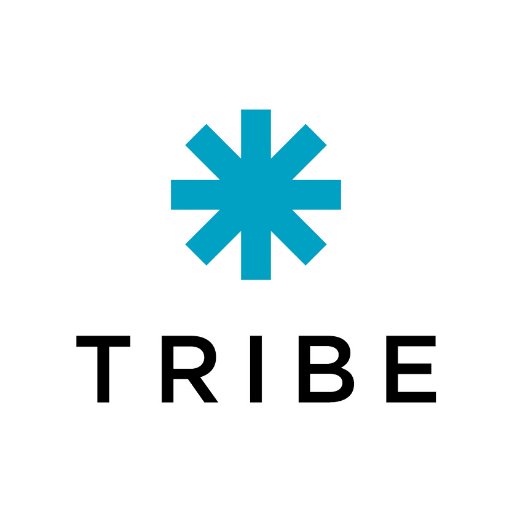 Tribe, Inc. Profile