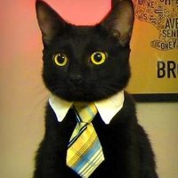 @aldatsa@mastodon.eus (@aldatsa) 's Twitter Profile