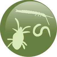 Soil Biodiversity(@theGSBI) 's Twitter Profile Photo