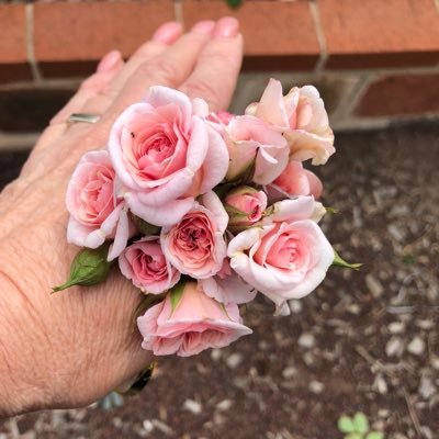 CorboyMary's profile picture. Family, faith and the National Party.