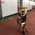 WA ZZZU (@thomcoug) Twitter profile photo WA ZZZU (@thomcoug) Twitter profile photo