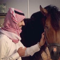 محمد القحطاني (@moh0a0) 's Twitter Profile