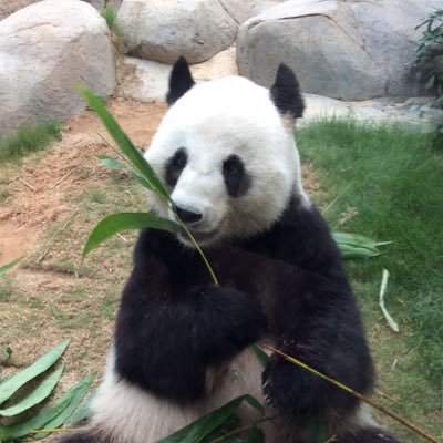 Ace99999Ace's profile picture. 平和を愛する起業家！