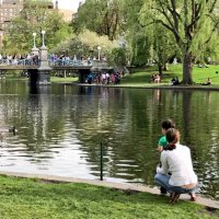 MrsDunne (@mrsdunnewrites) 's Twitter Profile