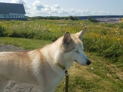 ChrisPHawkes's profile picture. 