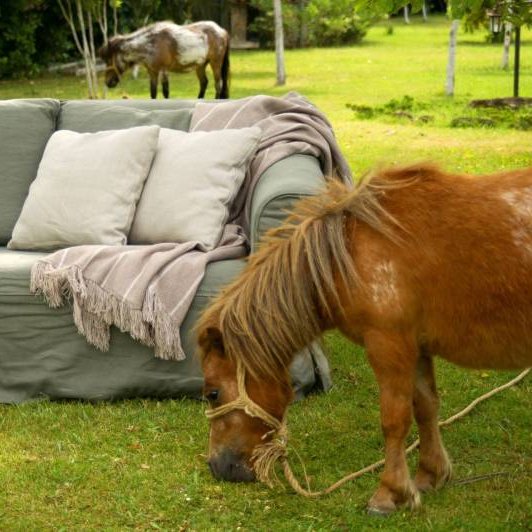 InteriorDemo's profile picture. Check out our new demo website below! https://t.co/FvNzStS3eF is a highly configurable, no coding website builder with gorgeous designs. Sign up for free now!