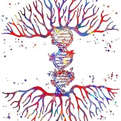 Somos un equipo de científicos interesados en divulgar los últimos hallazgos del conocimiento biológico de frontera. Desde paleontología hasta epigenética.