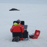Dr. Heloise Frouin-Mouy (@frouinmouy) 's Twitter Profile Photo Dr. Heloise Frouin-Mouy (@frouinmouy) 's Twitter Profile Photo