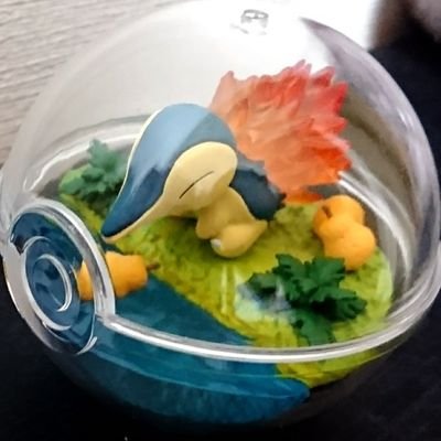 サキさんのプロフィール画像