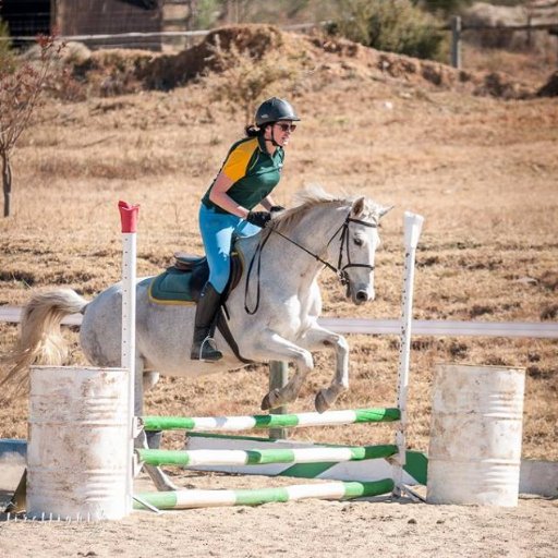 Editor of @FarmersWeeklySA, South Africa's oldest agricultural magazine. I also ride horses. And play violin. And love Oreos.