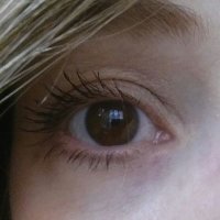 Lisl (@lislbr) 's Twitter Profile