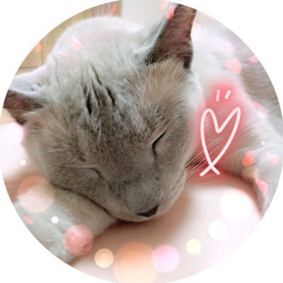 ろしあんさんのプロフィール画像