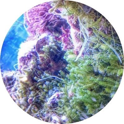 また新しくしました！フォローお願いします！