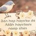 Serdar kulpu (@1453alica) Twitter profile photo Serdar kulpu (@1453alica) Twitter profile photo