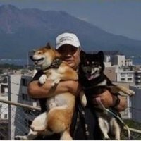 柴犬アトム🌈・黒柴アラレの父 (@atomdaisuki) 's Twitter Profile