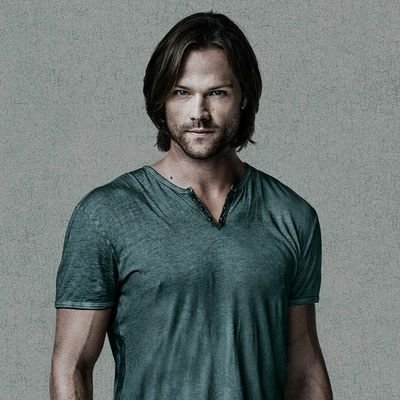 Liam Ramon. Detective/Mutant with lion paws by day, Aggressive hero Huntsman Spider by night! My bro: @HydroAlphaX OC #MarvelRP #DCRP #MVRP