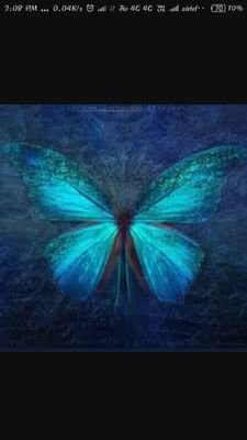 Emperorraju's profile picture. 100% followback