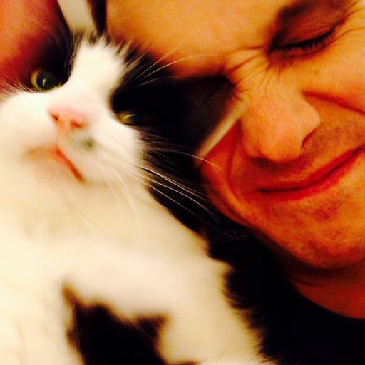 web developer, photographer, doodler, snack enthusiast and cat botherer