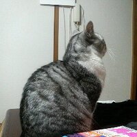 くず太郎 (@kuzutaro256) 's Twitter Profile