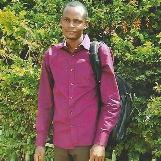 dennisalabi2's profile picture. I am a professional tech savvy personality.
*Software Developer
*Data Analyst
*Odoo ERP Consultant
and Much more
