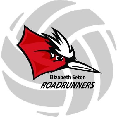 Elizabeth Seton HS Volleyball