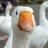 Goose