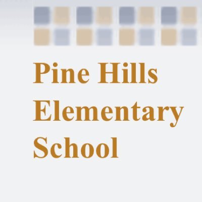 PineHillsES's profile picture. Pine Hills Elementary School In The City School District of Albany, Serving Grades Pre-K to 5