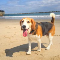 ねぇやんᵕ̈* (@xripples70x) Twitter profile photo