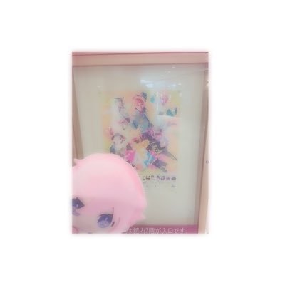 あ か た す🦔 Profile