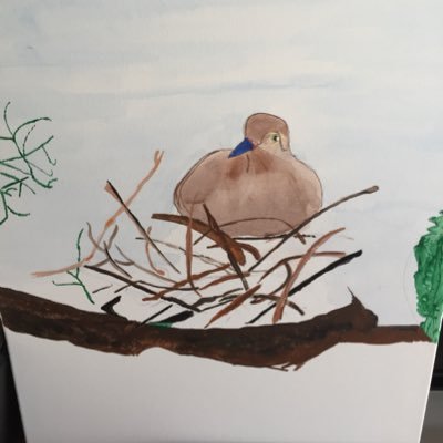 IndieSpirit9's profile picture. 